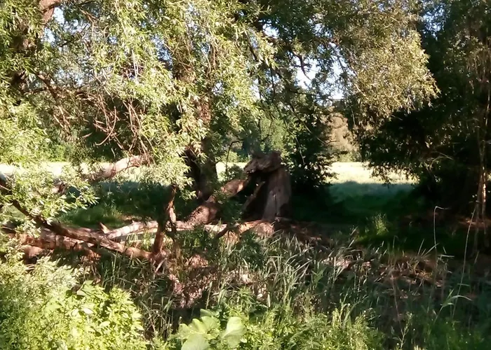 Mediterran Διαμέρισμα