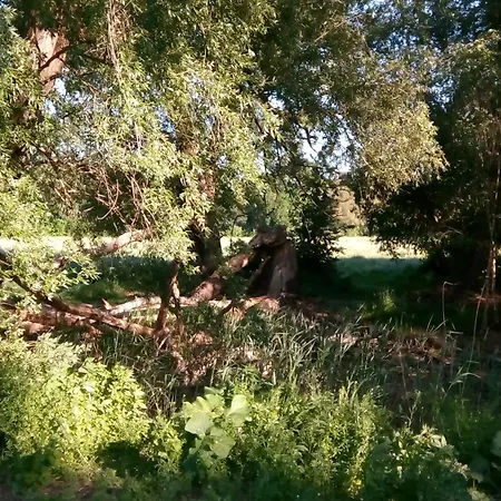 Mediterran Apartment