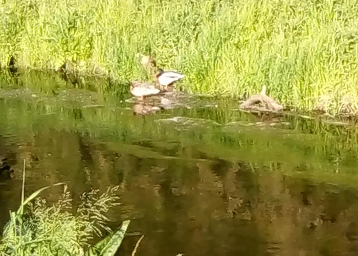 Mediterran Apartamento