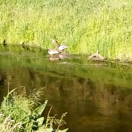 Mediterran Апартаменты